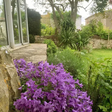 Le Jardin Du Griffoul * Nébias
